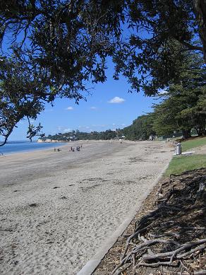 Takapuna Beach