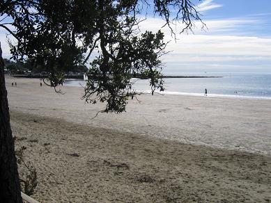 Takapuna Beach