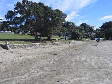 Takapuna Beach