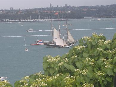 Tall Ship Festival 2013