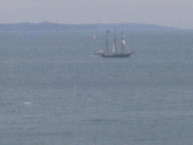 Tall Ship Festival 2013