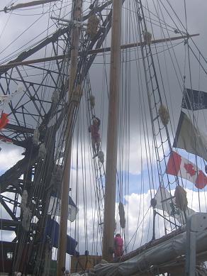 Tall Ship Festival 2013