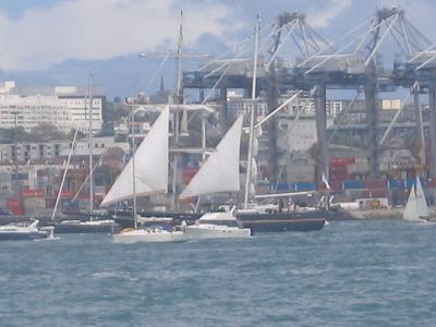 Tall Ship Festival 2013