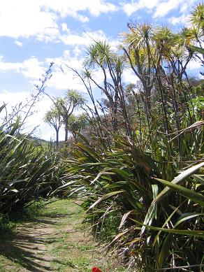 Waiheke