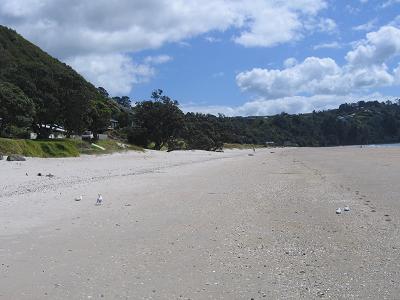 Waiheke - Onetangi