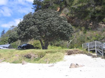 Waiheke - Onetangi