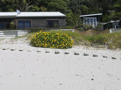 Waiheke - Onetangi