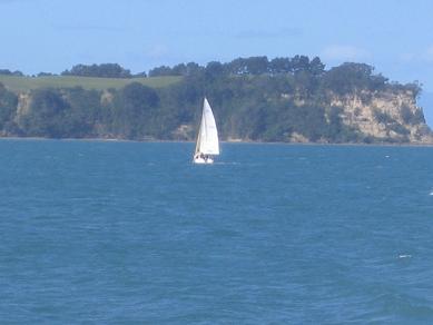 Waiheke Ferry