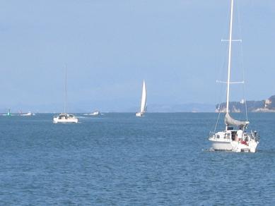 Devonport ferry