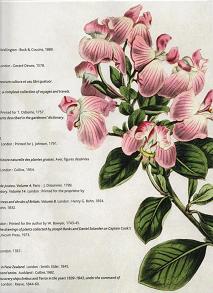 Flowers, Fruit and Foliage pamphlet part 3