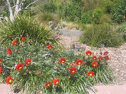 Auckland Botanic Gardens