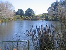 Auckland Botanic Gardens