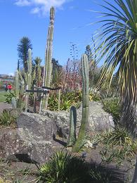 Auckland Botanic Gardens