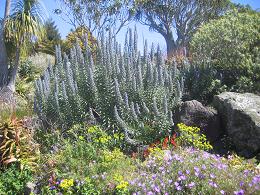 Auckland Botanic Gardens