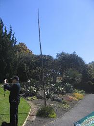 Auckland Botanic Gardens