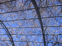 Auckland Botanic Gardens