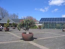 Auckland Botanic Gardens