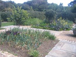 Auckland Botanic Gardens