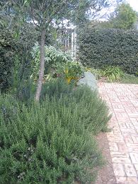 Auckland Botanic Gardens