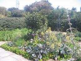 Auckland Botanic Gardens