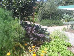 Auckland Botanic Gardens