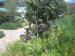 Auckland Botanic Gardens