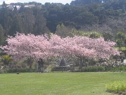 Auckland Botanic Gardens