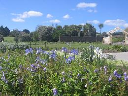 Auckland Botanic Gardens