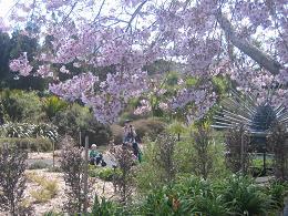 Auckland Botanic Gardens