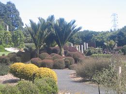 Auckland Botanic Gardens