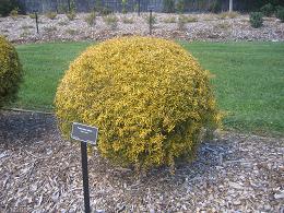 Auckland Botanic Gardens