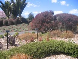 Auckland Botanic Gardens
