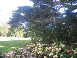 Auckland Botanic Gardens