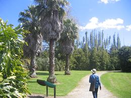 Auckland Botanic Gardens