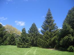 Auckland Botanic Gardens
