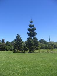 Auckland Botanic Gardens