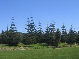 Auckland Botanic Gardens