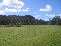 Auckland Botanic Gardens