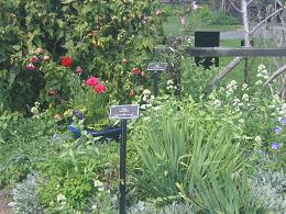 Auckland Botanic Gardens