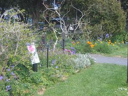 Auckland Botanic Gardens