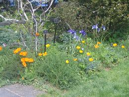 Auckland Botanic Gardens