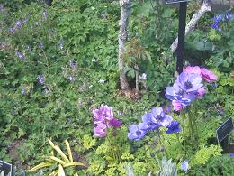 Auckland Botanic Gardens