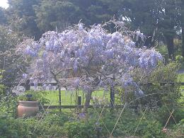 Auckland Botanic Gardens