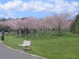 Auckland Botanic Gardens