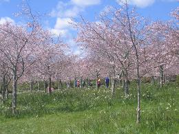 Auckland Botanic Gardens