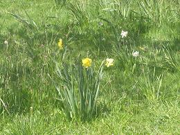 Auckland Botanic Gardens