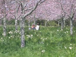 Auckland Botanic Gardens