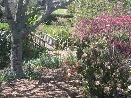 Auckland Botanic Gardens