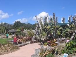 Auckland Botanic Gardens