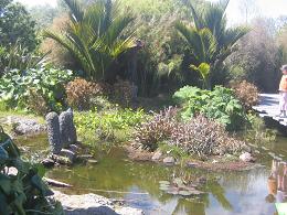 Auckland Botanic Gardens